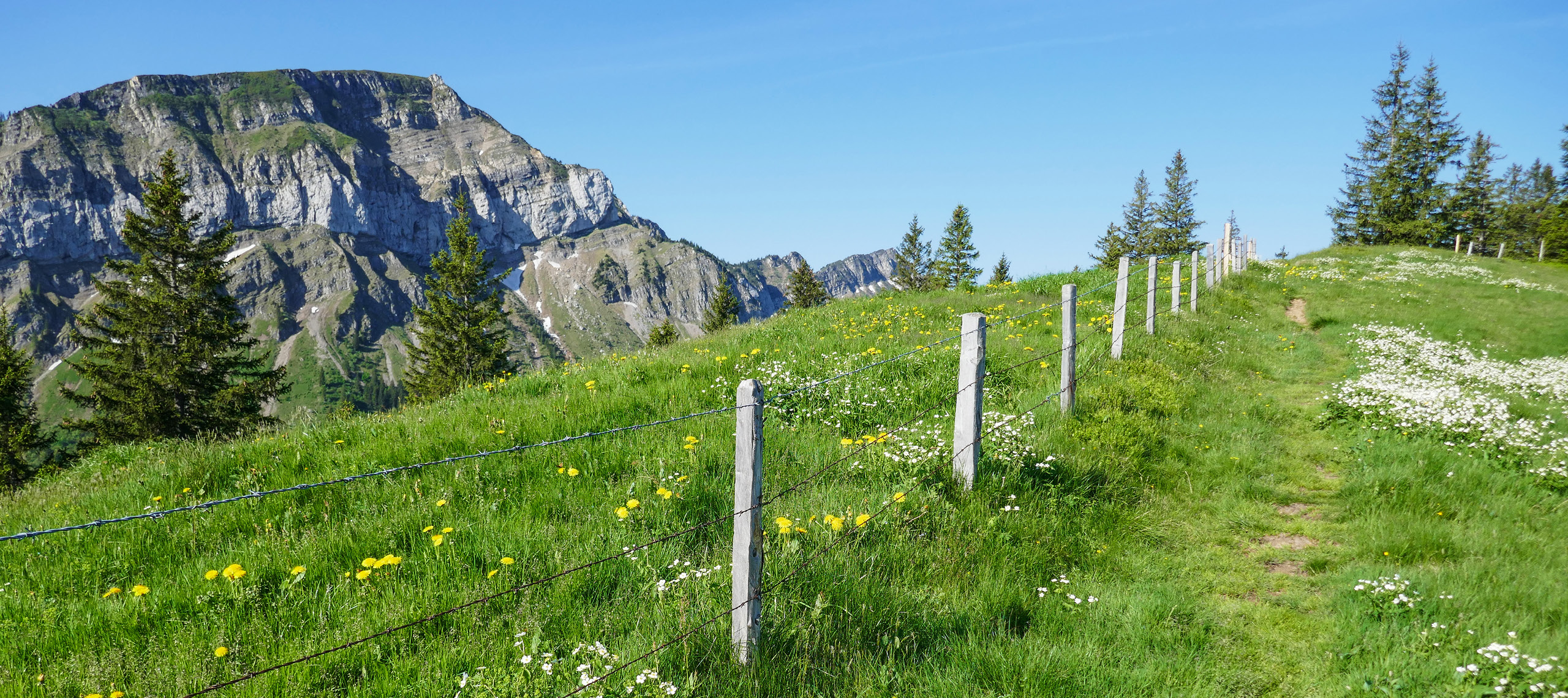 Im Herzen der Schweiz – nahe der Natur